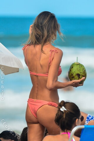 Alessandra Ambrosio nude photo 139