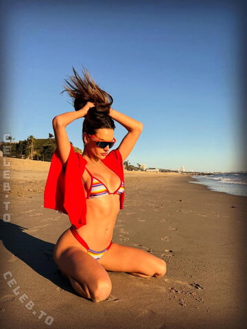 Alessandra Ambrosio nude photo 331