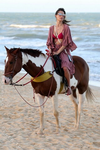 Alessandra Ambrosio nude photo 694