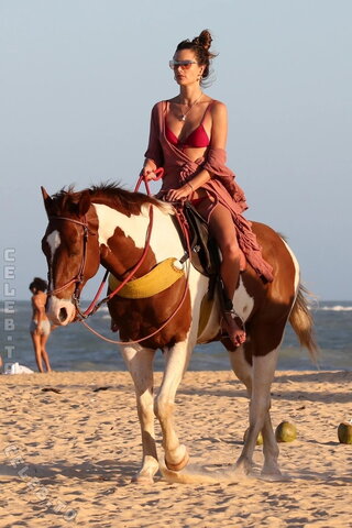 Alessandra Ambrosio nude photo 695