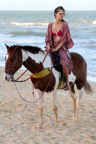 Alessandra Ambrosio nude photo 697