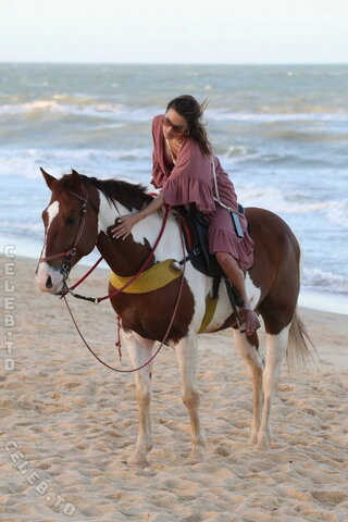 Alessandra Ambrosio nude photo 700