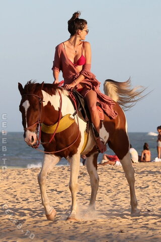 Alessandra Ambrosio nude photo 710