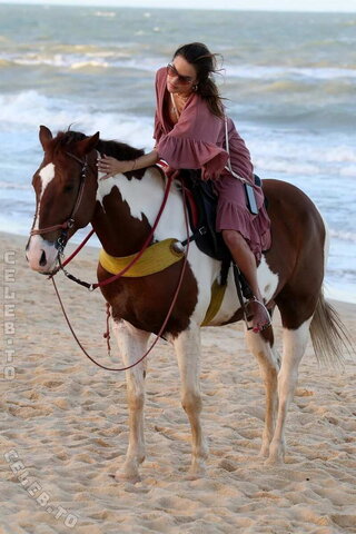 Alessandra Ambrosio nude photo 714