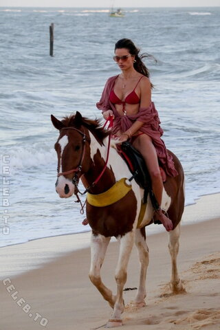 Alessandra Ambrosio nude photo 715