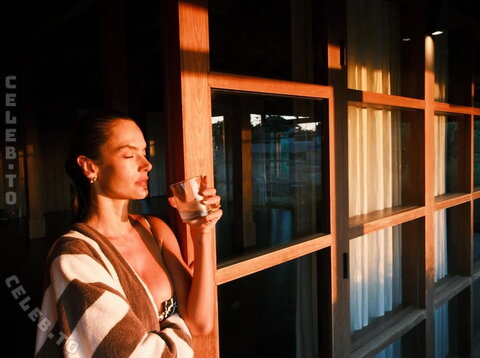 Alessandra Ambrosio nude