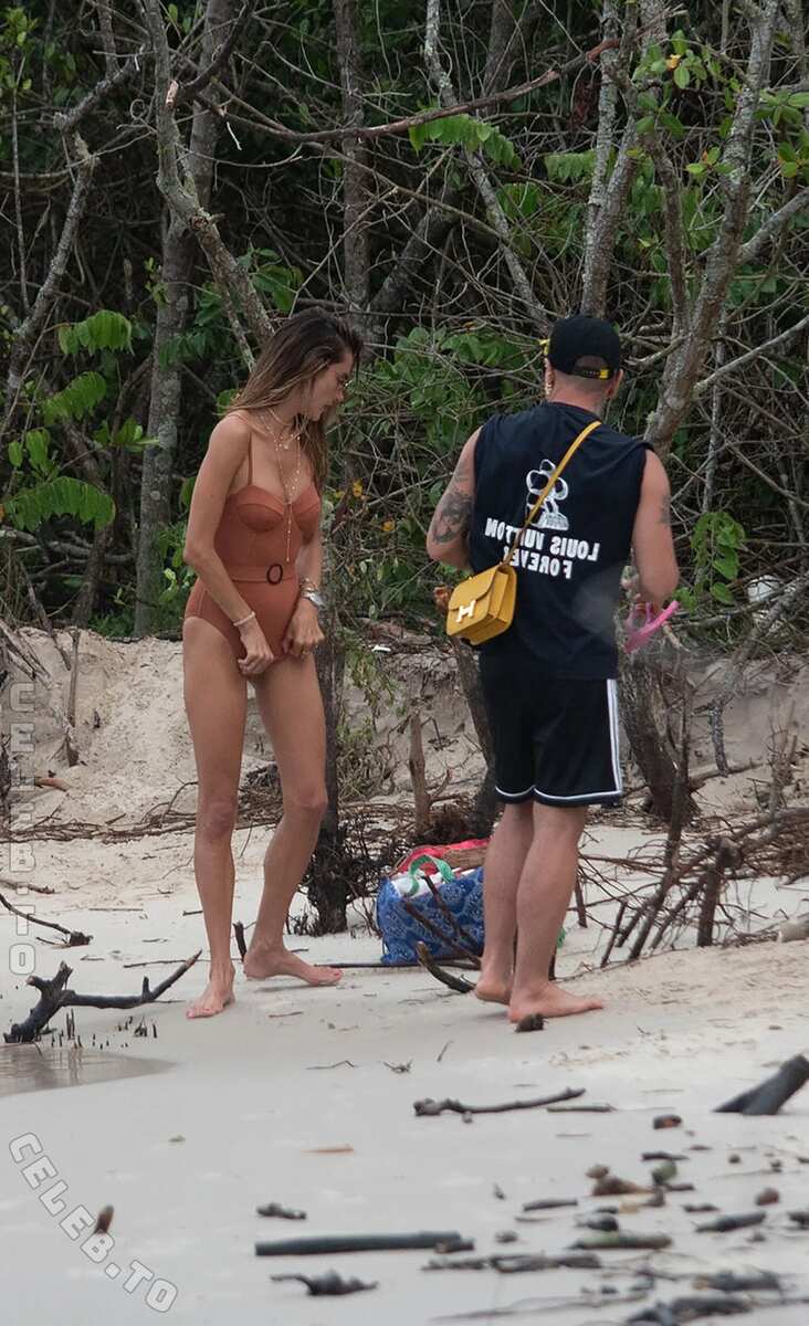Alessandra Ambrosio nude photo 4