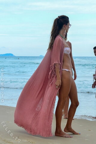 Alessandra Ambrosio nude photo 558