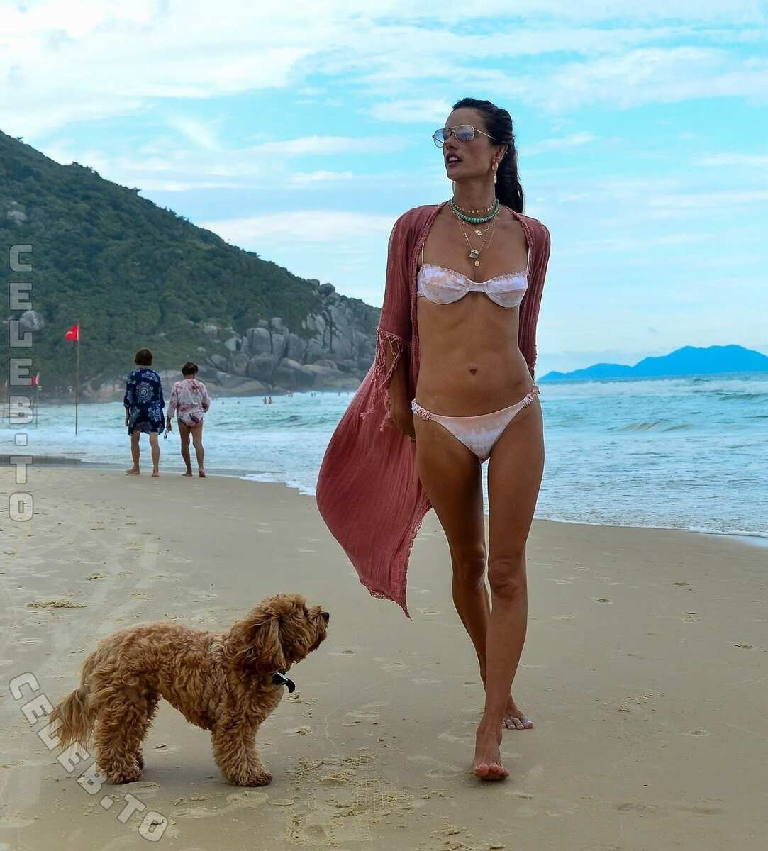Alessandra Ambrosio nude photo 17