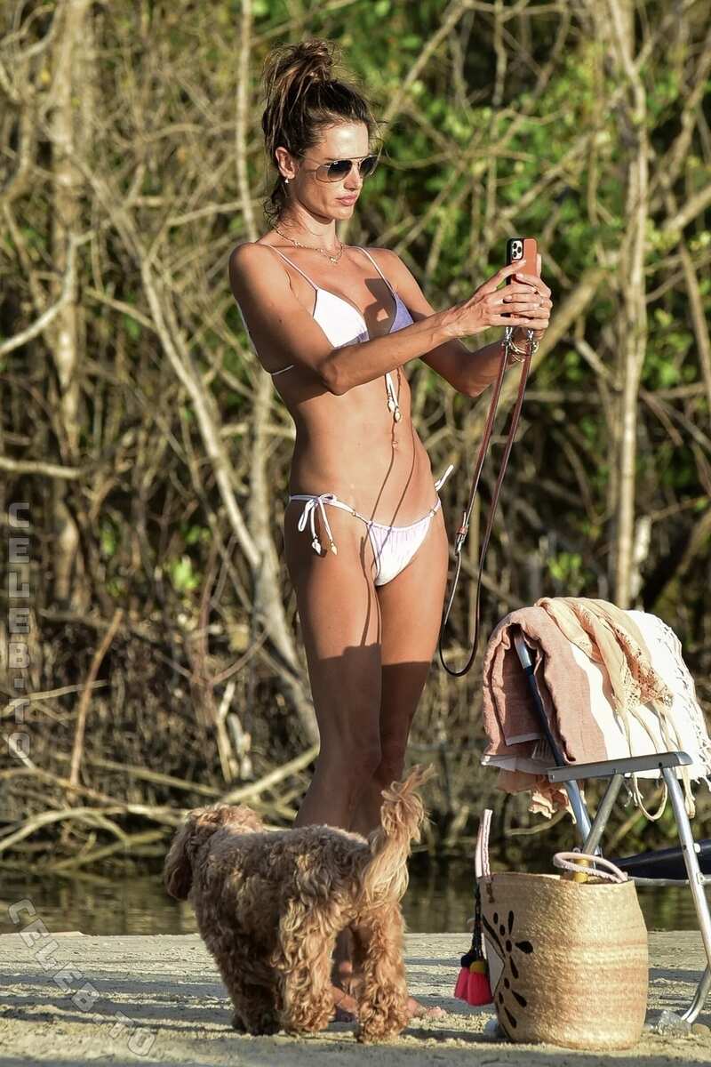 Alessandra Ambrosio nude photo 15