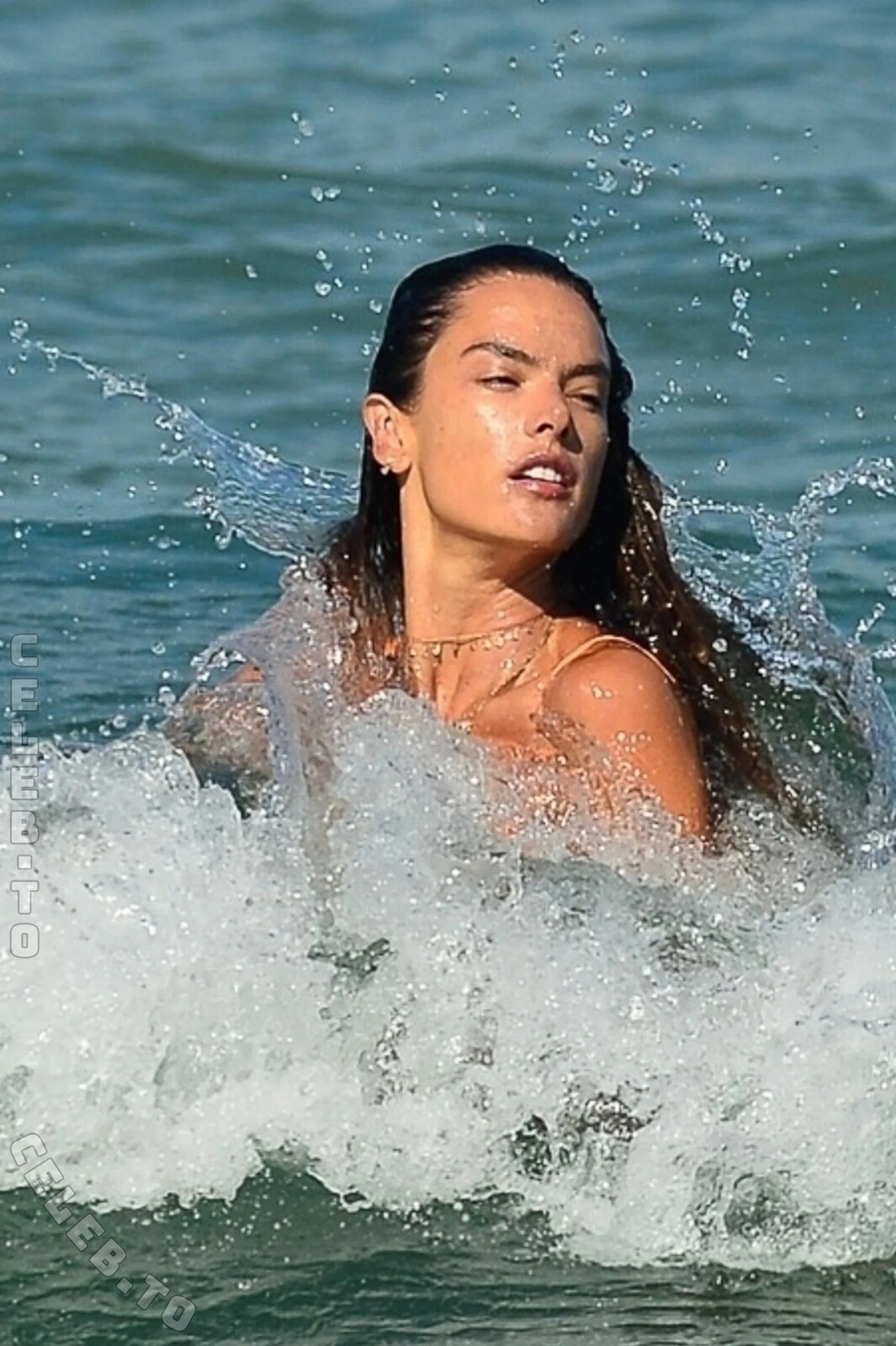 Alessandra Ambrosio nude photo 1