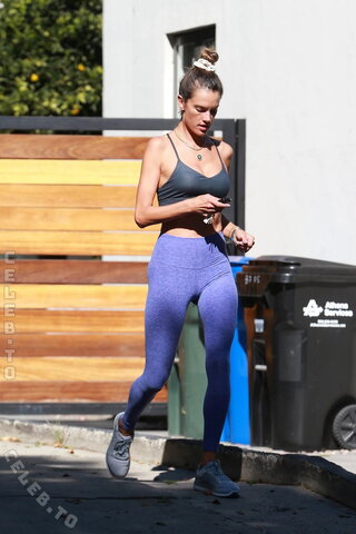 Alessandra Ambrosio nude photo 208