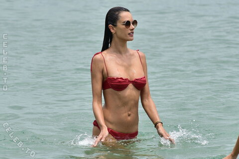 Alessandra Ambrosio nude photo 192
