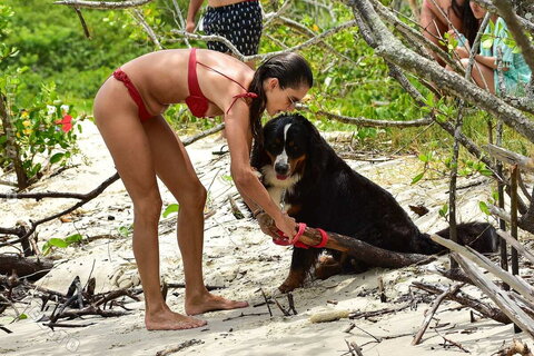 Alessandra Ambrosio nude photo 188
