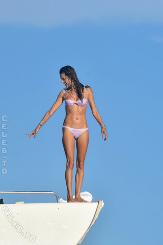 Alessandra Ambrosio nude photo 31