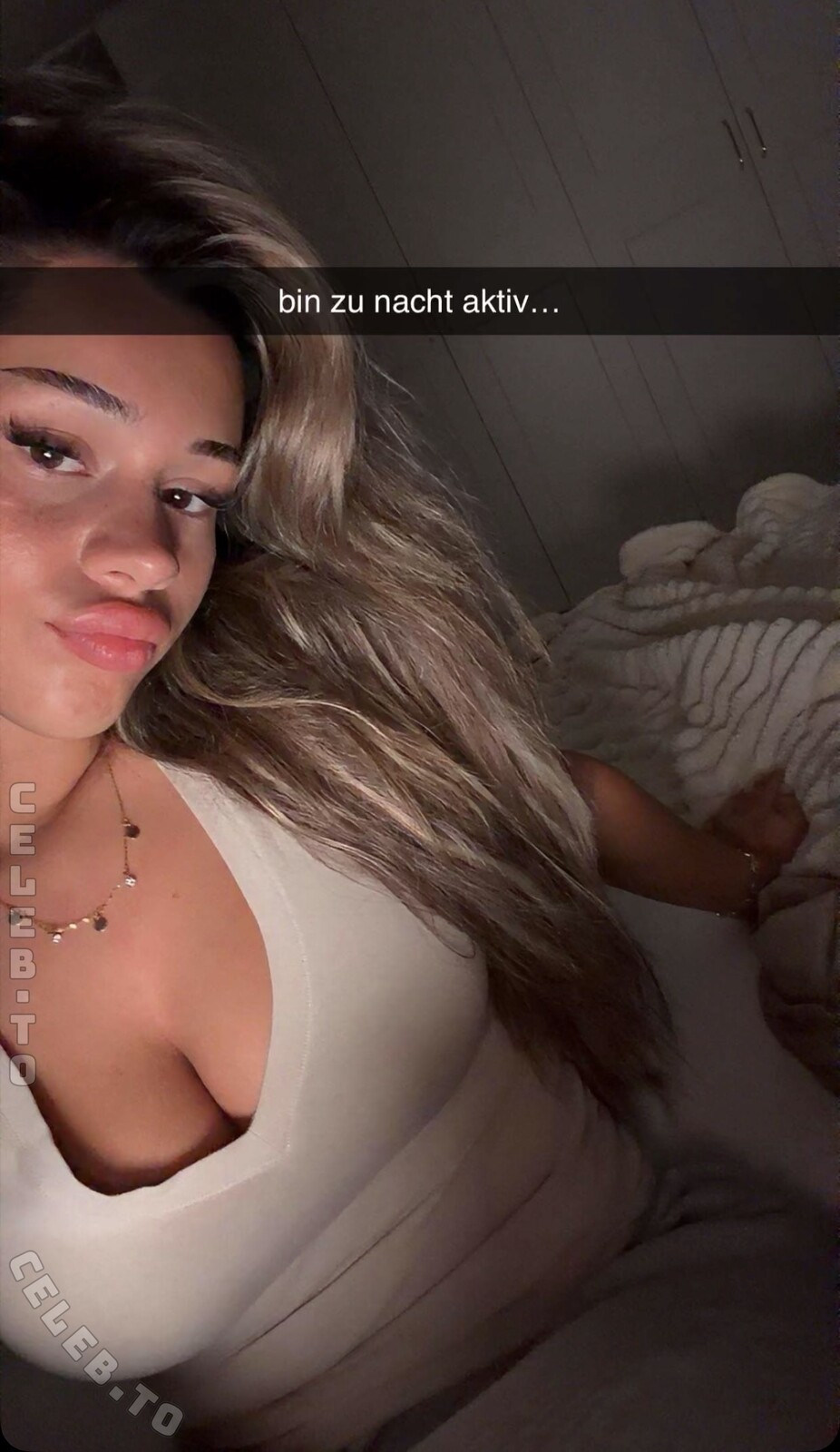 Almira Azemi nude photo 2