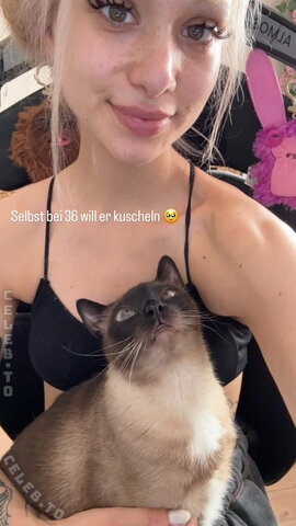 Almostfeline – From the Insta story
