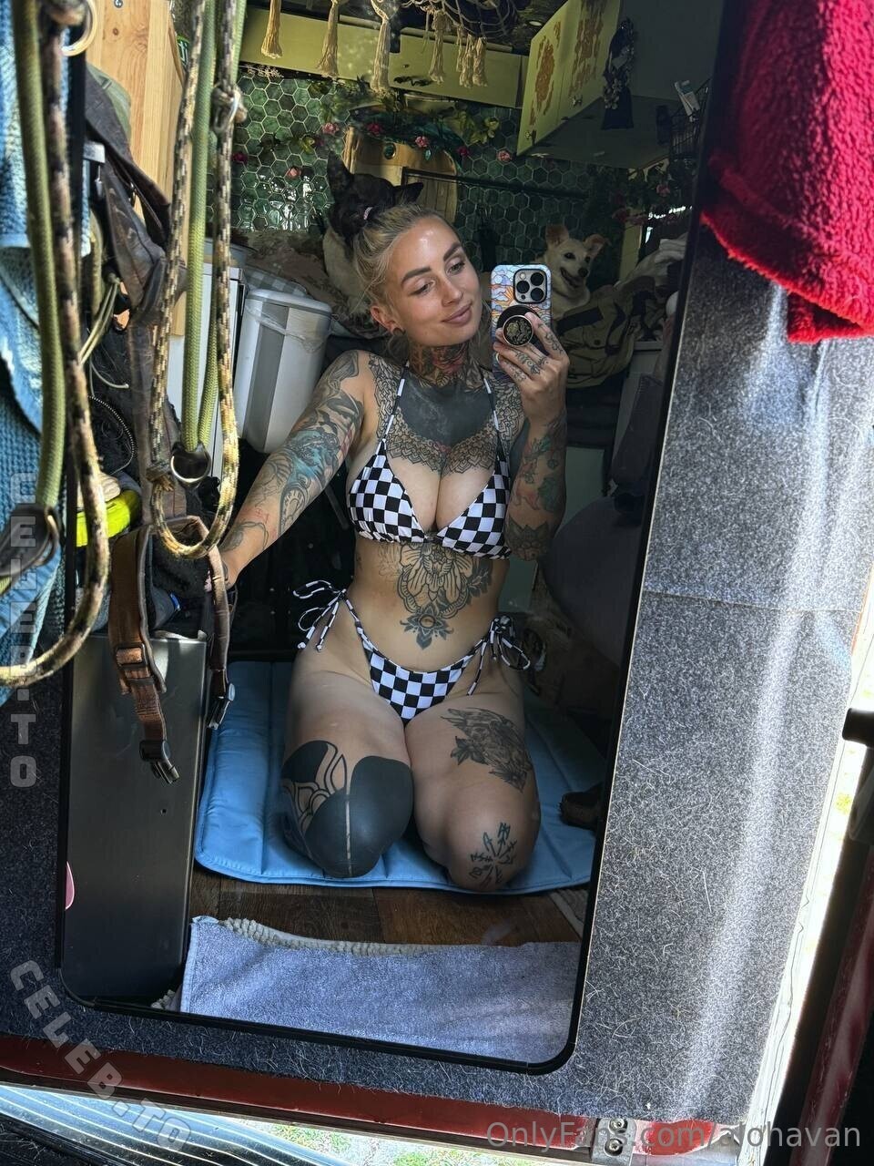 Alohavan nude photo 1