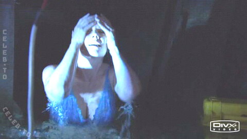 Amanda Tapping nude photo 31