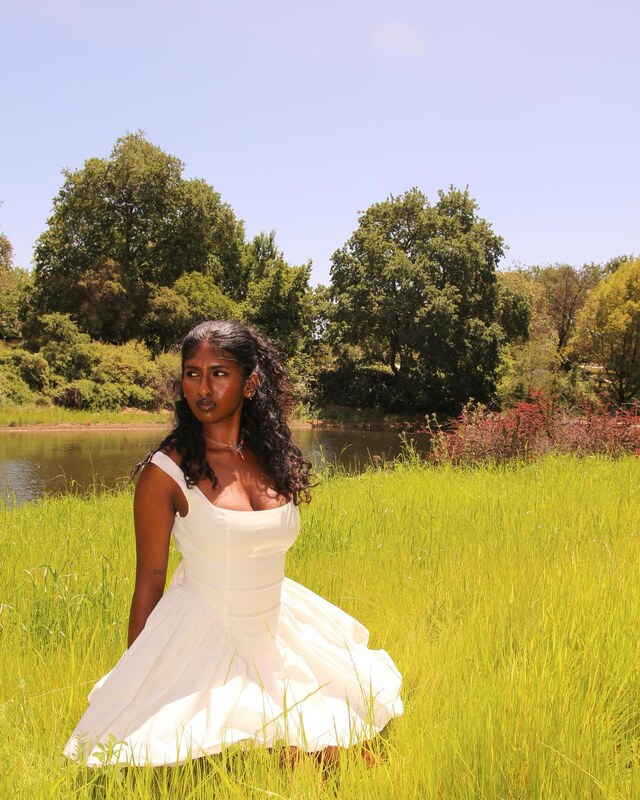 Ameya Kattela nude photo 12
