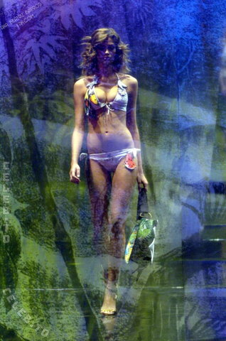 Ana Beatriz Barros nude photo 5
