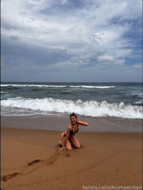 Animaechan nude photo 1