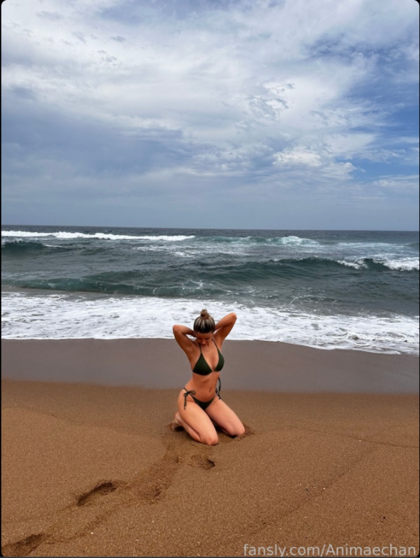 Animaechan nude photo 2