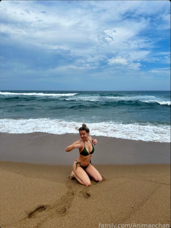 Animaechan nude photo 6
