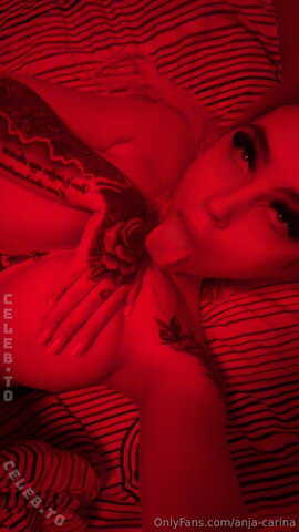 Anja Carina Haslinger nude photo 19