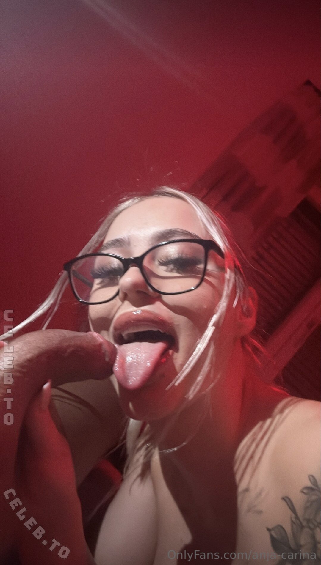 Anja Carina Haslinger nude photo 1