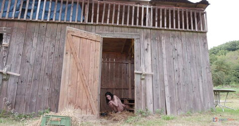 Anna de Ville nude photo 2