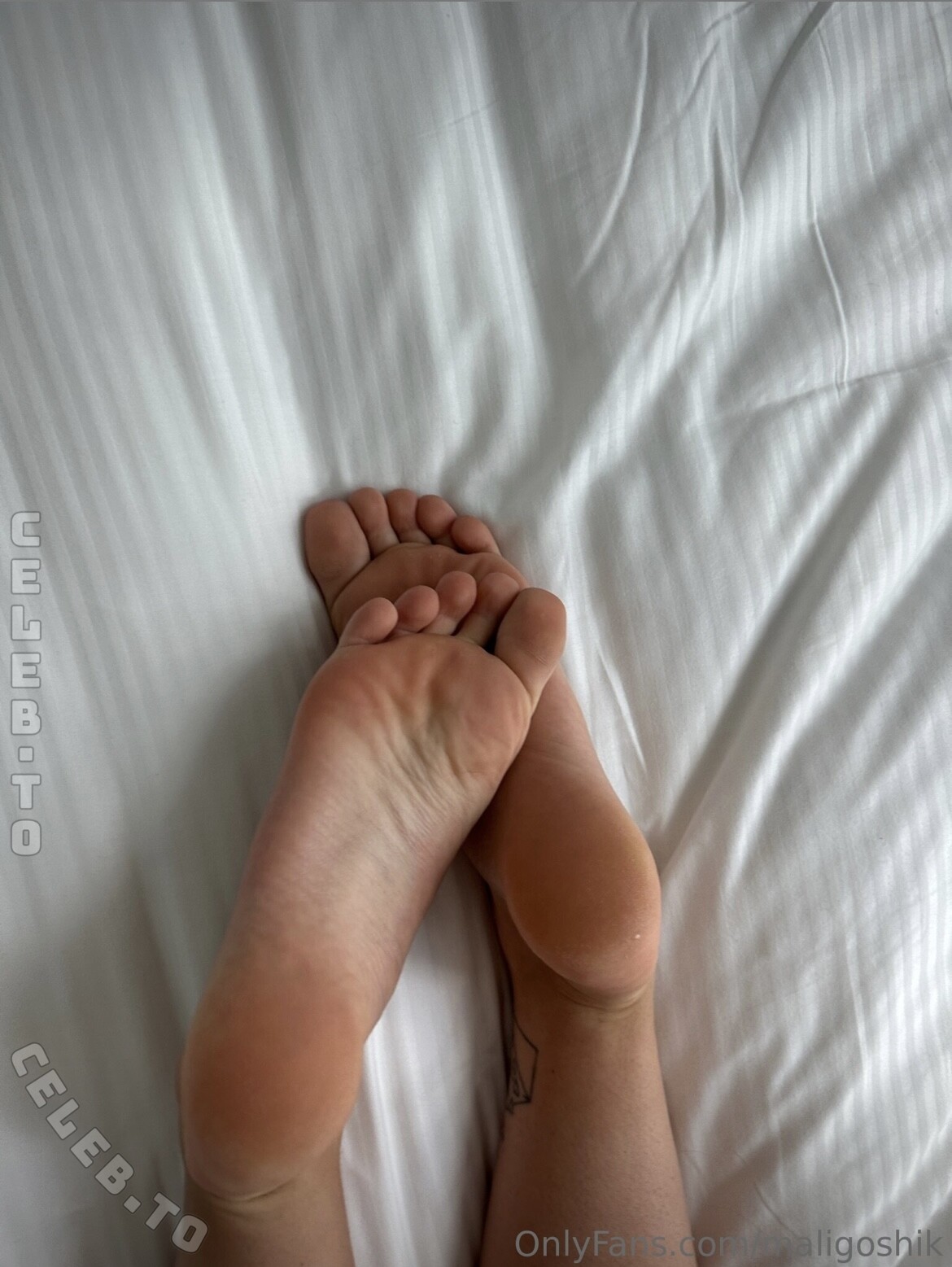 Anna Maligoshika nude photo 9
