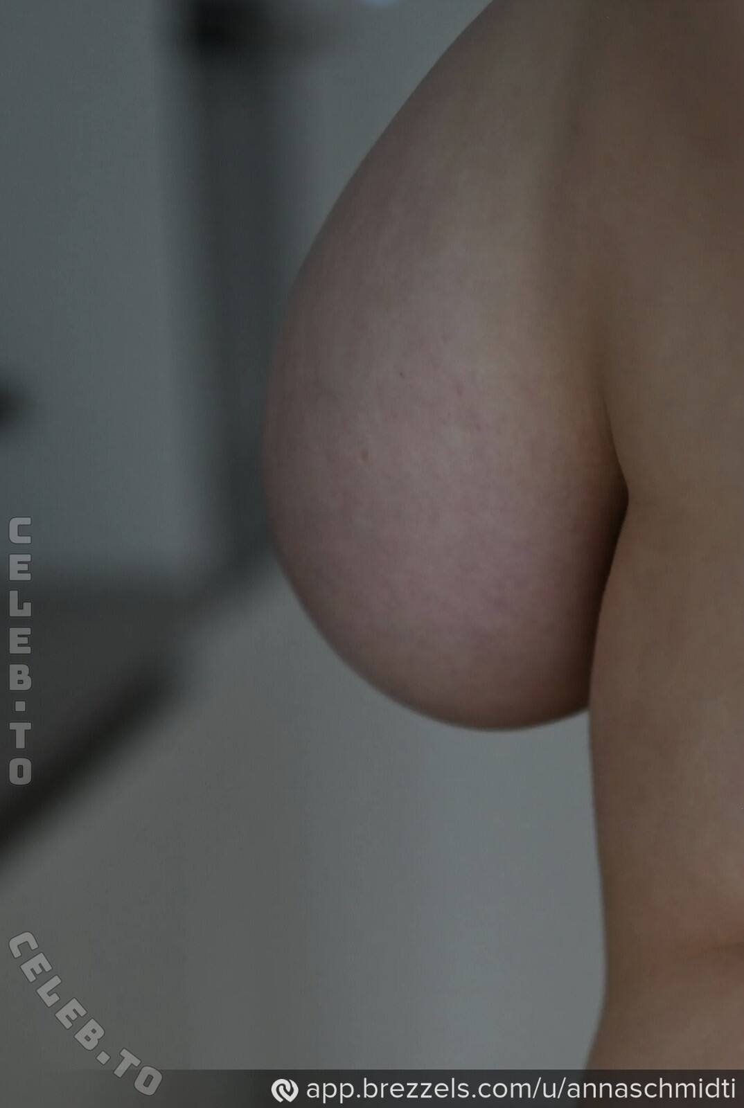 Anna Schmidt nude photo 4