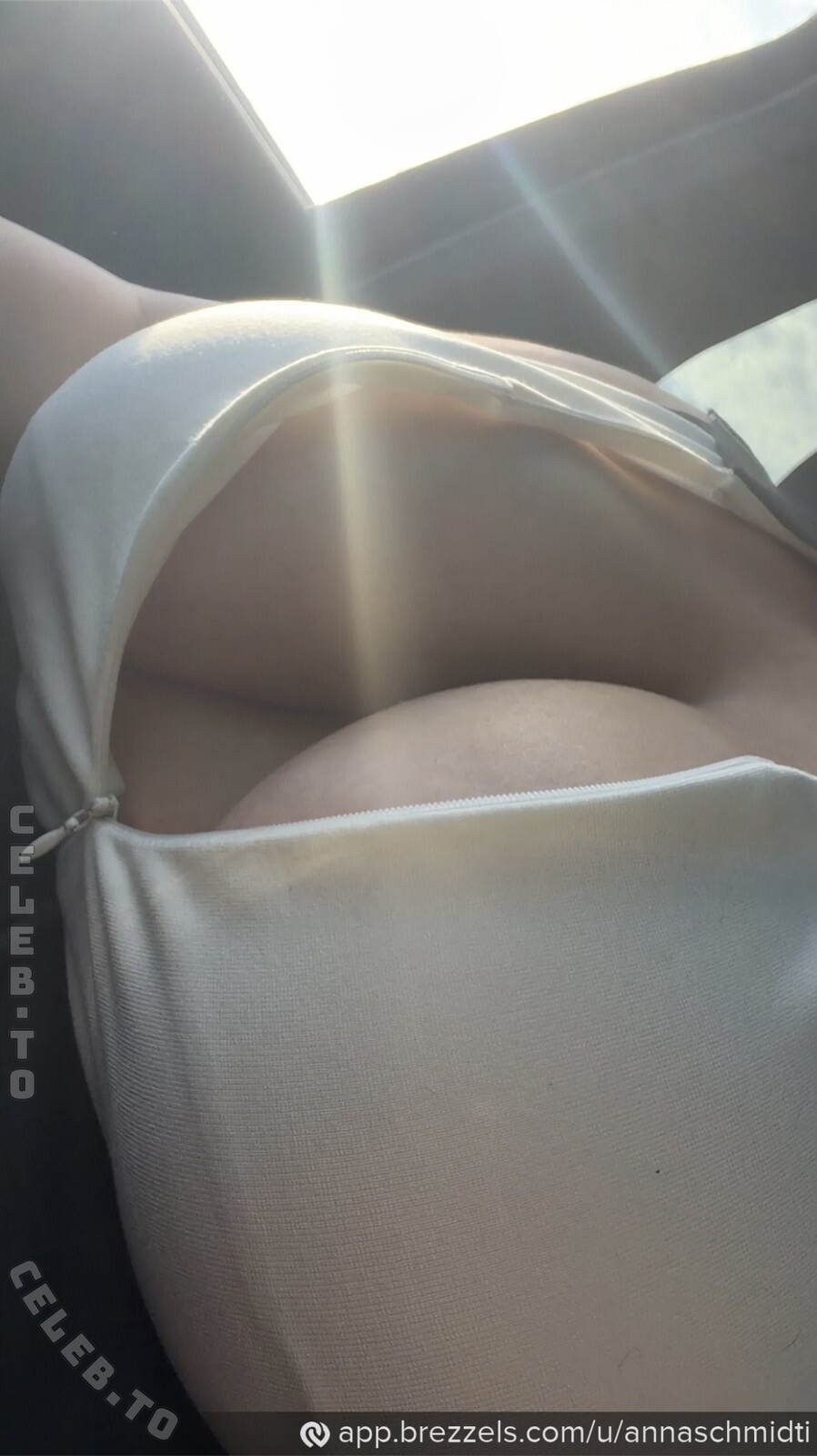 Anna Schmidt nude photo 10