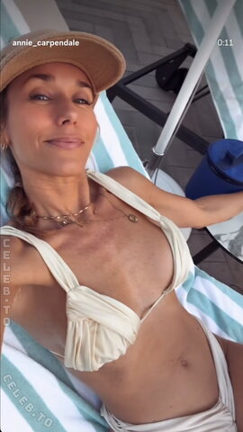 Annemarie Carpendale nude photo 13
