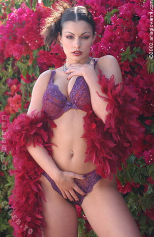 Aria Giovanni nude photo 69