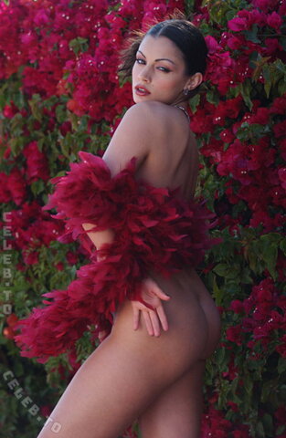 Aria Giovanni nude photo 16