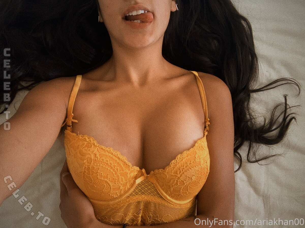 Aria Khan nude photo 4