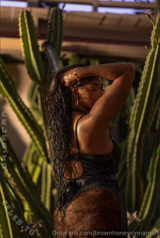 Asia Diann nude photo 20