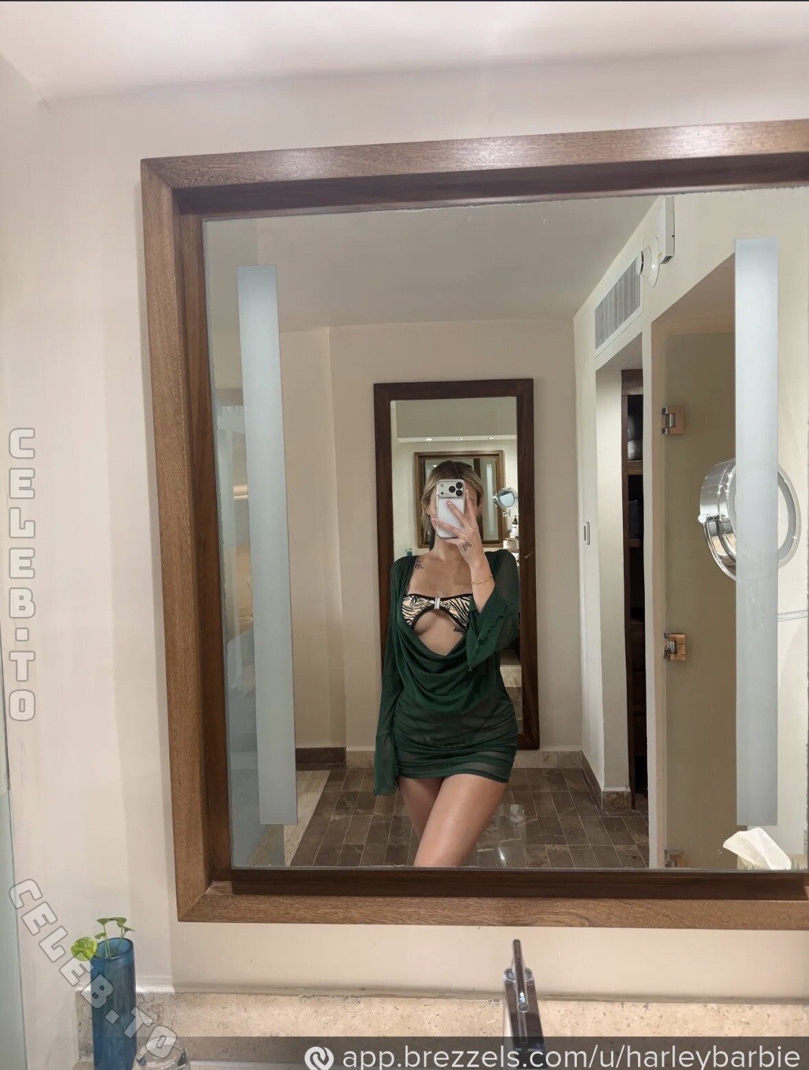 BarbieGirl nude photo 1