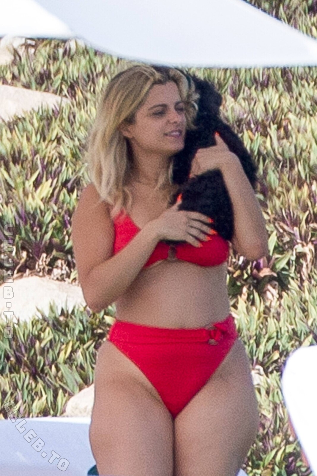 Bebe Rexha nude photo 7