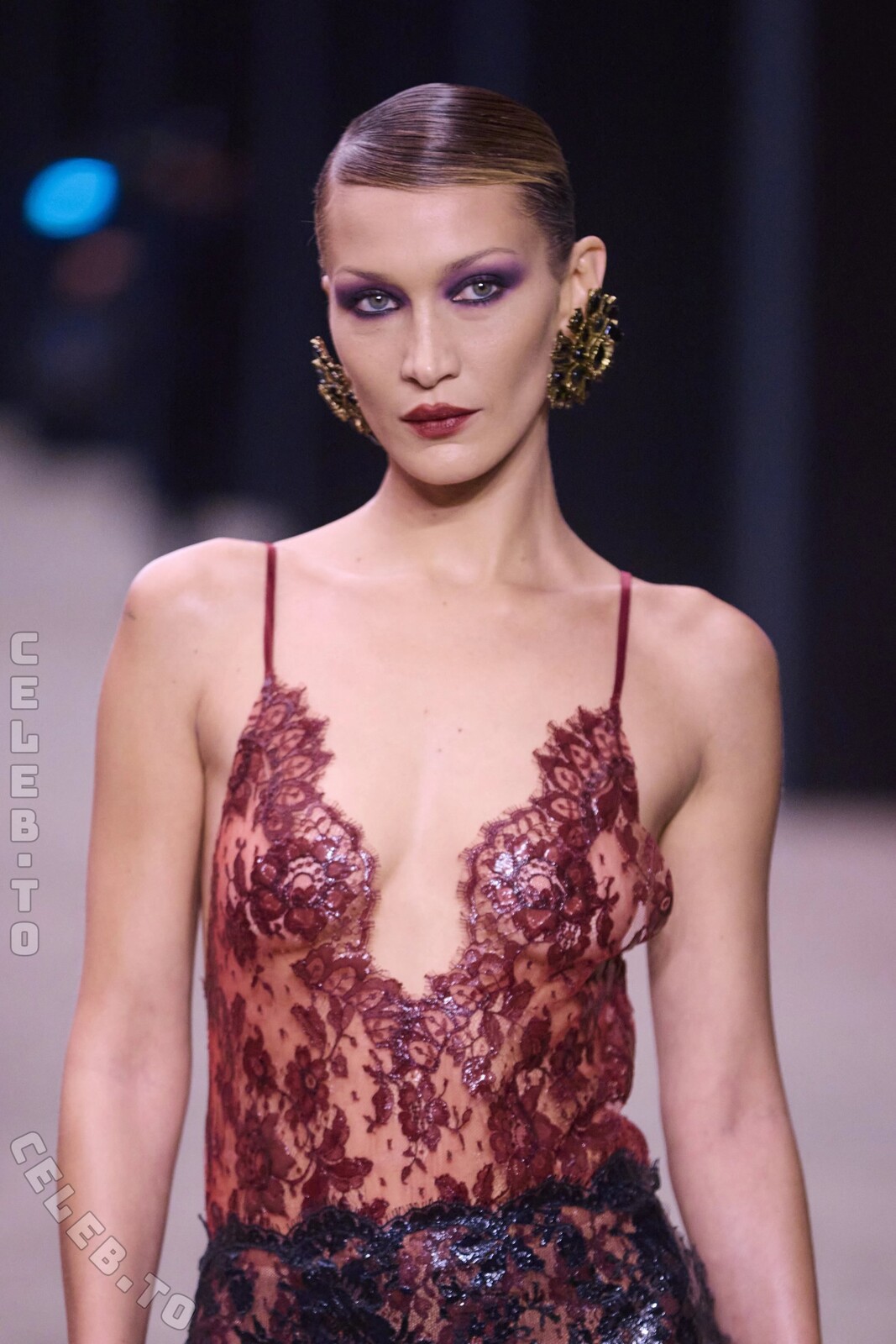 Bella Hadid nude photo 6