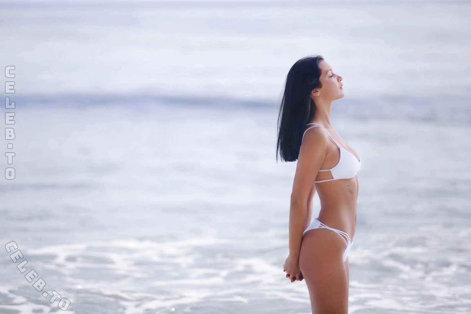 Bella Hadid nude photo 9