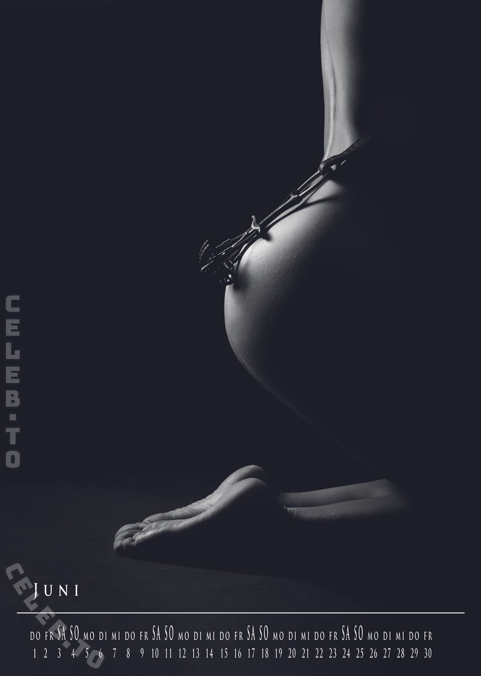 Bergretterinnen-Kalender nude photo 7