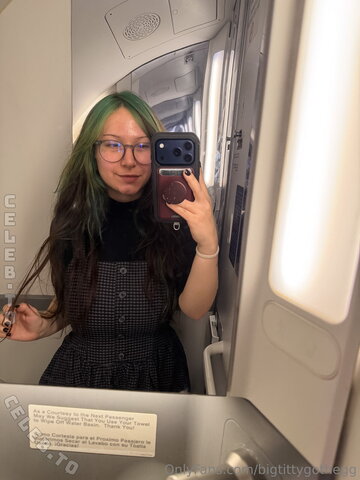 bigtittygothegg – dream place to do it? airplane bathroom of course