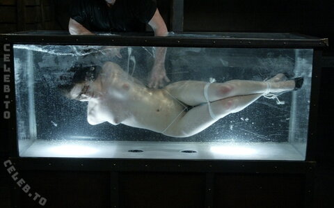 Bobbi Starr nude photo 29