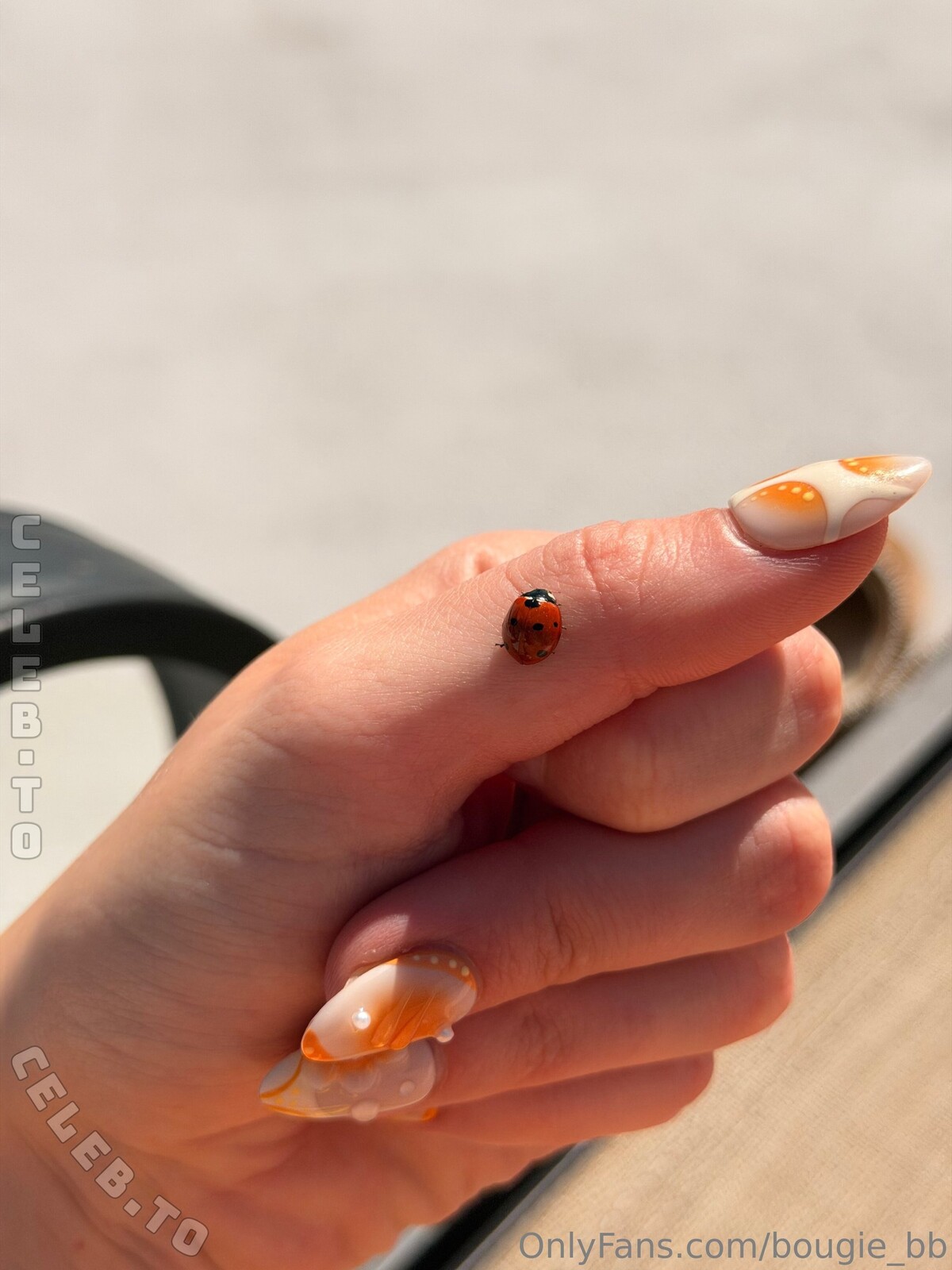 Bougie_bb nude photo 4