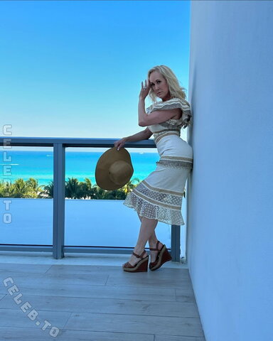 Brandi Love nude photo 142