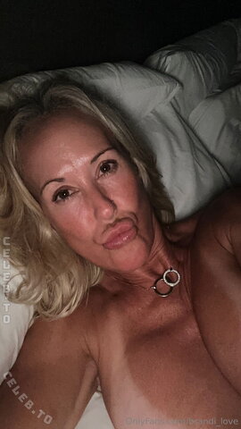 Brandi Love nude photo 337