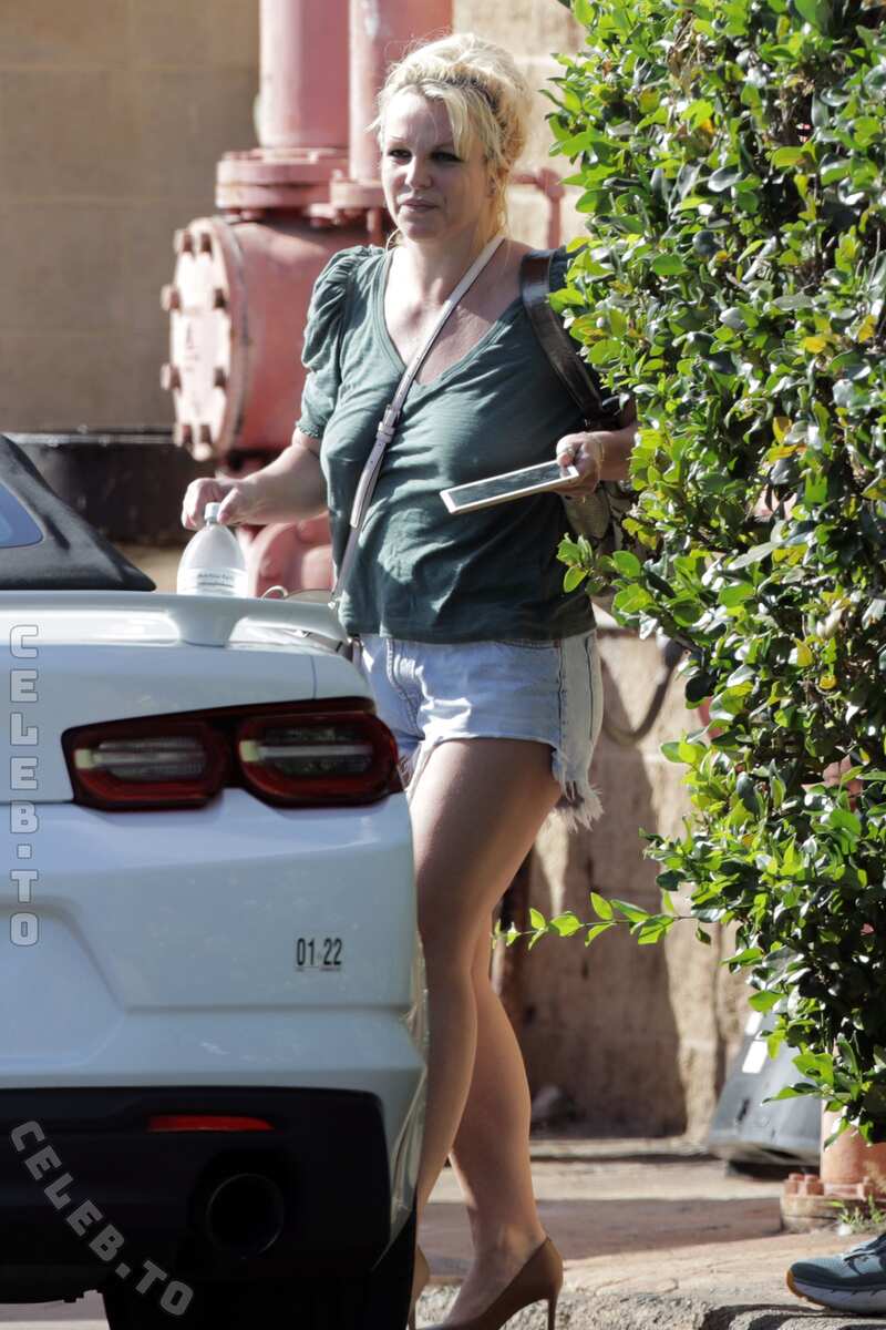 Britney Spears nude photo 3